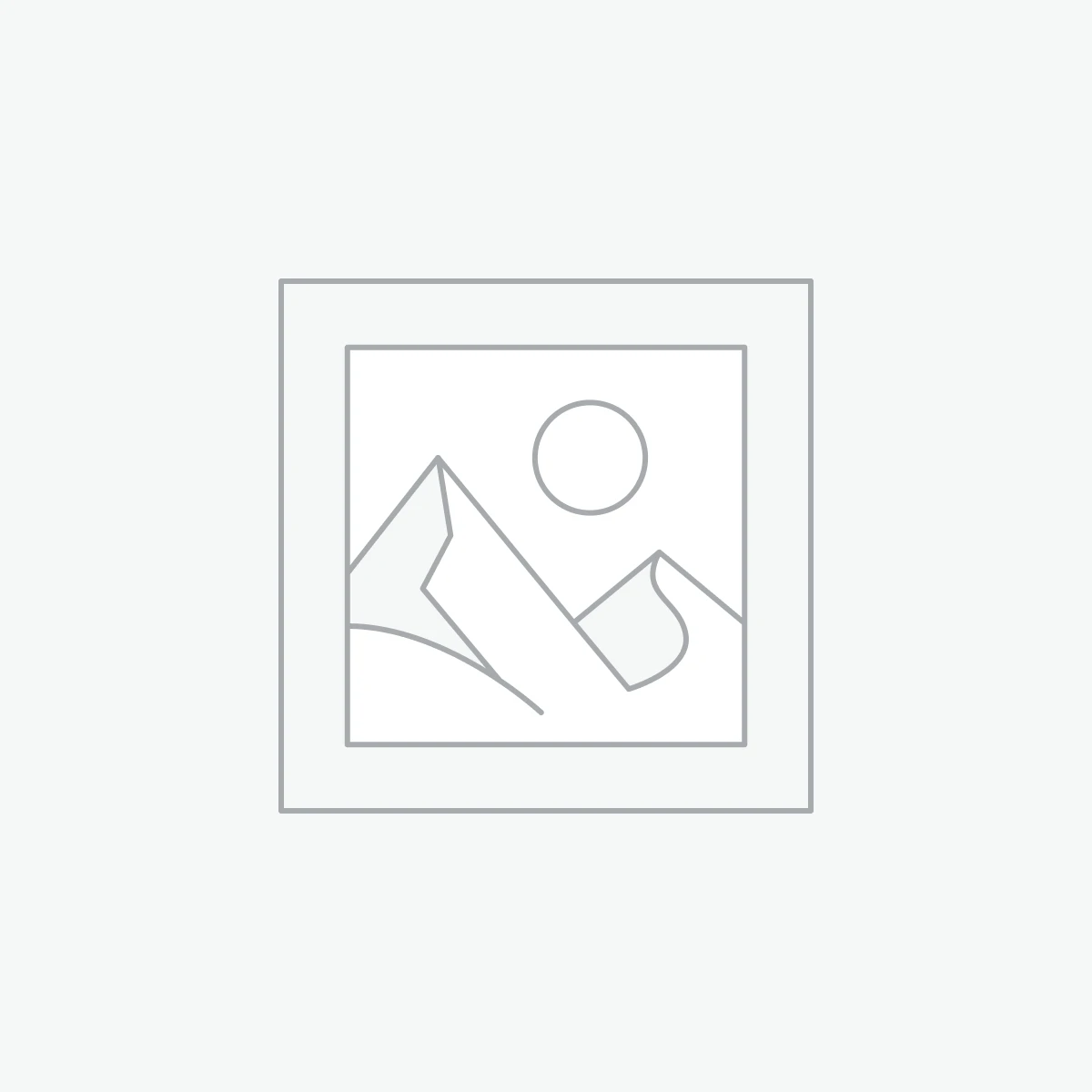 Website Development;Technical SEO